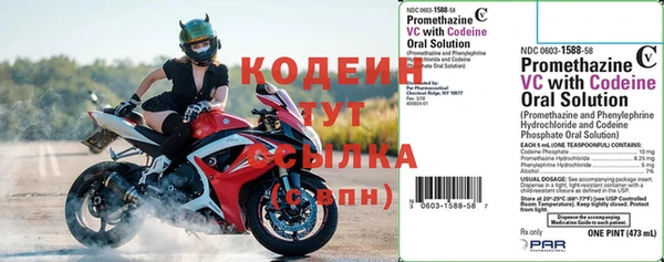 шишки Майский