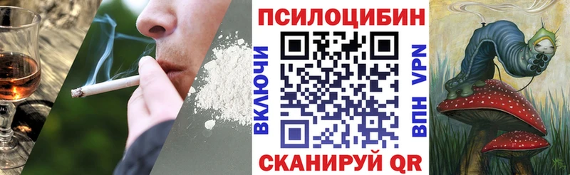 Купить закладки  Власиха  Псилоцибиновые грибы мицелий 